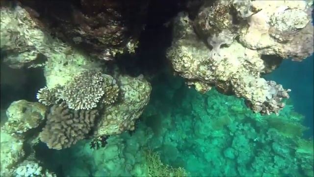 Красное море глазами туриста смотреть онлайн
