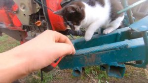 ДЕТАЛЬНЫЙ ОБЗОР ПРИЦЕПНОГО АДАПТЕРА К МОТОБЛОКУ С РАЗМЕРАМИ