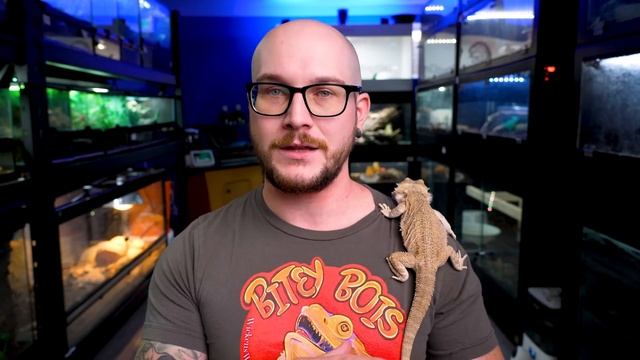 5 Reptiles That Can Live in 20 Gallon Enclosures FOREVER! смотреть онлайн
