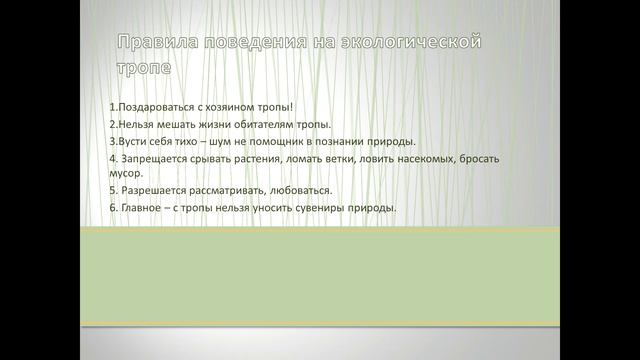 Ознакомление с природой в средней группе. Экологическая тропа весной. смотреть онлайн