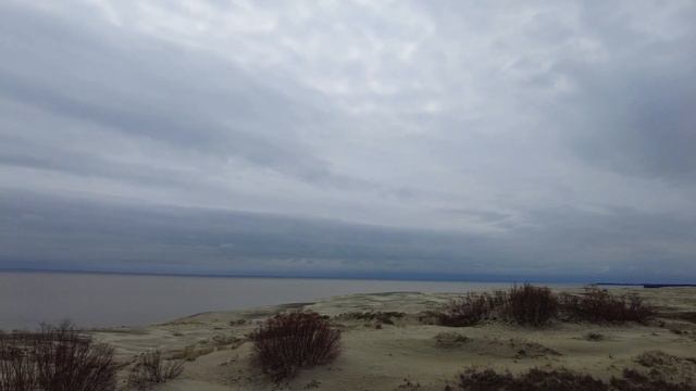 Куршская коса смотреть онлайн