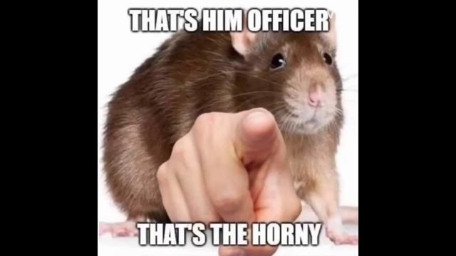 Minecraft Jenny MOD (+ Download Link) Gameplay [UNCENSORED] смотреть онлайн