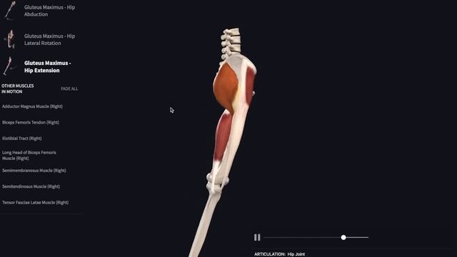 Поэтому у тебя тонут ноги во время плавания кролем! смотреть онлайн