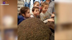 Абрамова Вера Николаевна.mp4