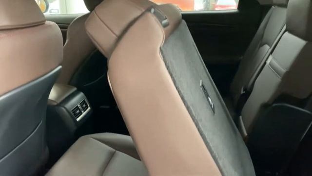 2020 Lexus RX450h-L Walkaround- China Auto Show(2020款雷克萨斯RX450h-L，外观与内饰实拍)