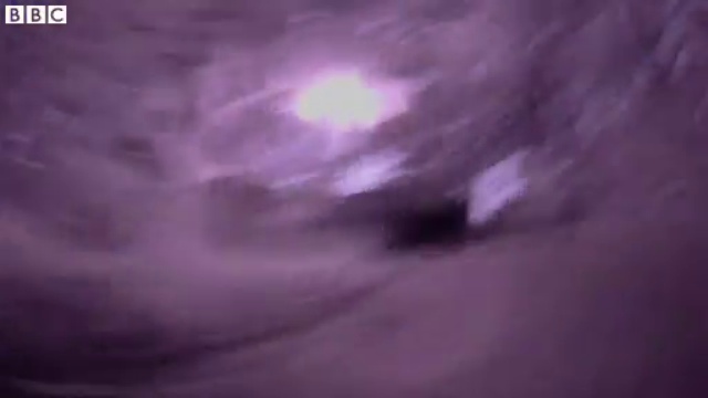 Выслеживая лису смотреть онлайн