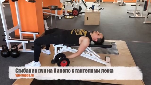 Сгибание рук на бицепс с гантелями лежа смотреть онлайн