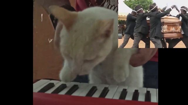 Astronomia (Coffin Dance Meme) - but played by Cats смотреть онлайн