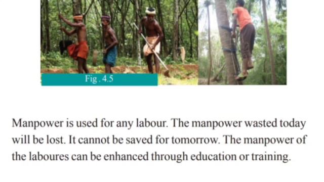 Scert Class 6 /Social Scince Chapter 4/ Production Process Part 2/English Medium