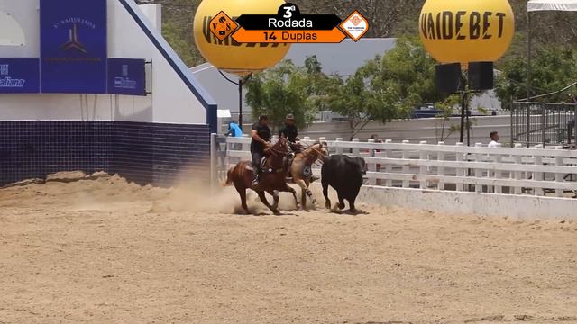 DISPUTA PROFISSIONAL | PARQUE FERNANDO LUCENA | CAMPEONATO VAIDEBET PORTAL 2023