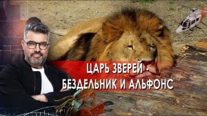 Царь зверей - бездельник и альфонс. Знаете ли вы, что? (29.01.2021).