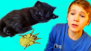 КОТЁНОК, которого ПОДОБРАЛ Коля, ОЧЕНЬ БОЛЕН. Неужели мама его ВЫБРОСИТ?
