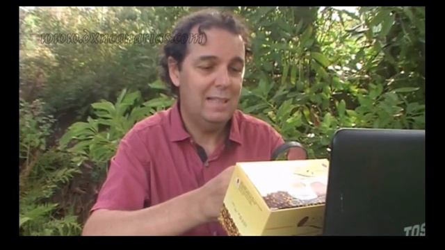 cantidad de ganoderma lucidum de el cafe lingzhi 3 en 1 de DXN смотреть онлайн