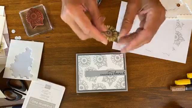 Create Many Cards with One Stamp Set смотреть онлайн