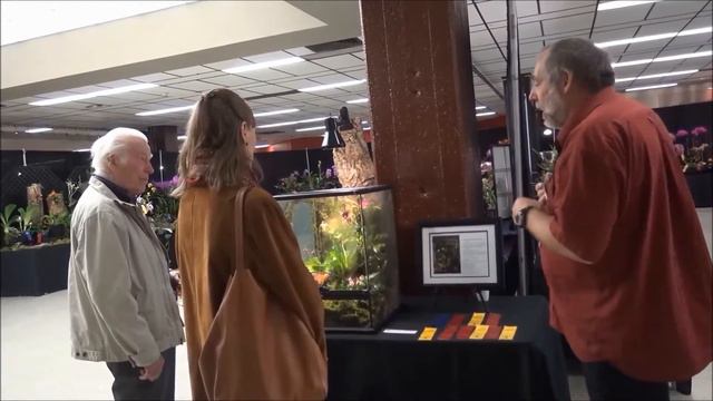 comment reconnaît-on une fleur d'orchidée ? смотреть онлайн