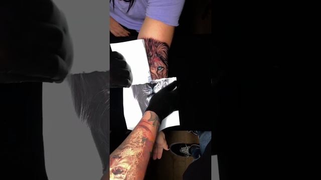 татуировка на руке лев #shorts #tattoo #lion смотреть онлайн