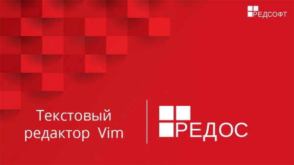 Текстовый редактор vim