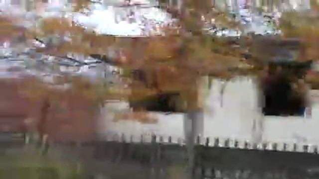 Хрящеватое октябрь 2014 смотреть онлайн