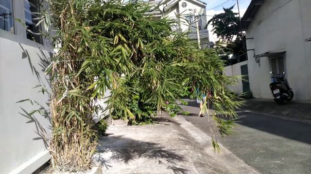 Test Camera Oppo A52 Full HD 1920x1080 with micro Hoco S31 смотреть онлайн