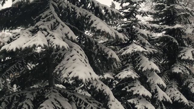 Снег Кружится❄️❄️❄️В 4K смотреть онлайн