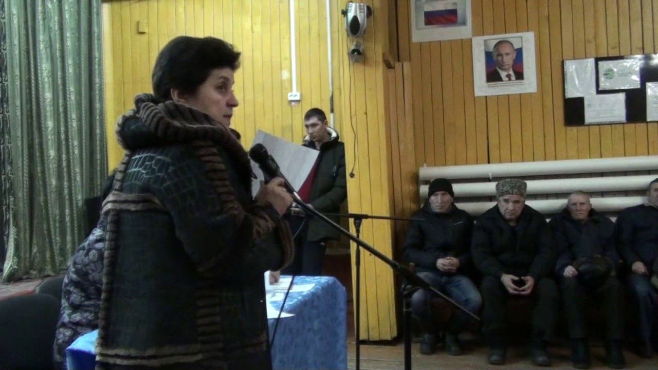 Собрание граждан ППМИ в СП Николаевский сельсовет смотреть онлайн