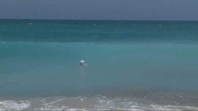 //4.КАЙТ БИЧ -лучший пляж,где волны!Море восторга и удовольствия! смотреть онлайн