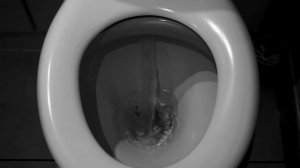 звук смыва унитаза