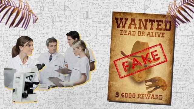 Почему слоны боятся мышей? Хороший Вопрос смотреть онлайн