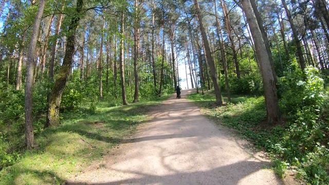 Vilnius: Fabijoniškės District, Šeškinės Ozas. 4K60
