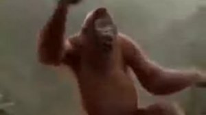 Танцующия.  абизяна