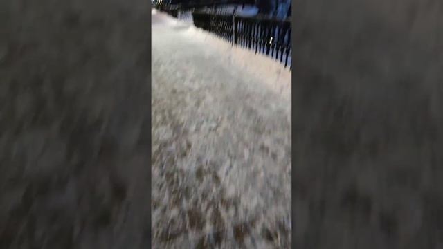 прогулка ярославль смотреть онлайн