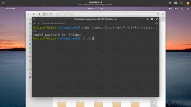 XAMPP - Instalação e Configuração no Linux смотреть онлайн