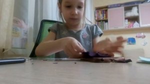 Как сделать чехол для телефона покажет Лиза
