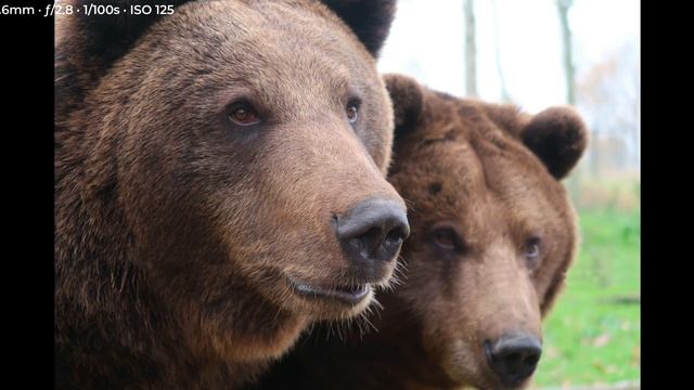 Canon G7X Mark II (4K) Sample Images w/ Camera Settings (2023) смотреть онлайн