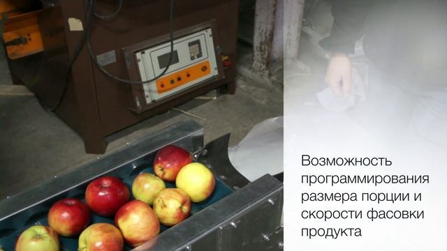 Богатырь АГРО - ДАБ2. Оборудование для упаковки яблок