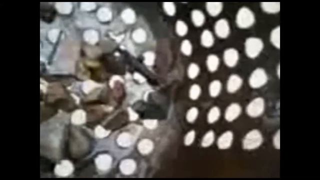 ПОИСК ЗОЛОТА В ВОДЕ, КОЛЬЦА, СЕРЬГИ, ЮБИЛЕЙНЫЕ МОНЕТЫ ! смотреть онлайн