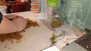 СУШЁНЫЙ РАССОЛЬНИК!!! В ПОХОД ИЛИ НА ДАЧУ / /СОХРАНЯЕМ ОВОЩИ /ГРАММОВКА /