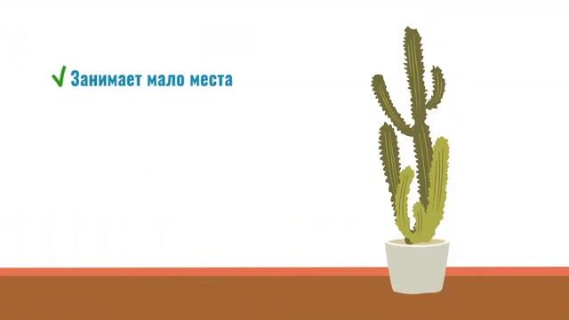 ПОЧЕМУ КАКТУС ЛУЧШЕ ЧЕМ ЮРИСТ!? смотреть онлайн