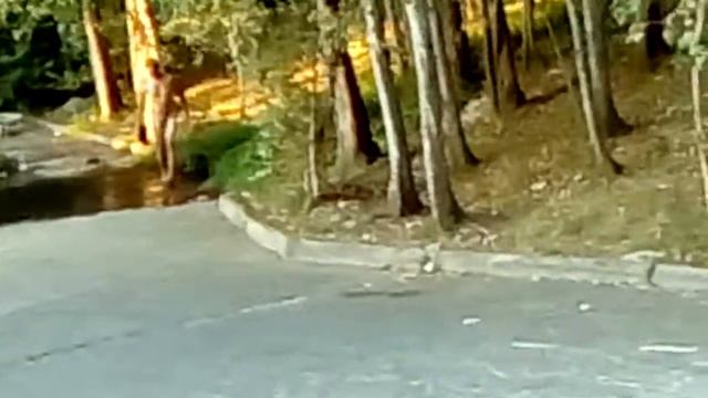 Алкаш чистюля смотреть онлайн