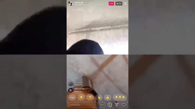 Elvis rövslickar adam tillsammans i en live! смотреть онлайн