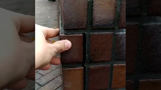 Пешеходная зона Калининграда - улица Профессора Баранова смотреть онлайн