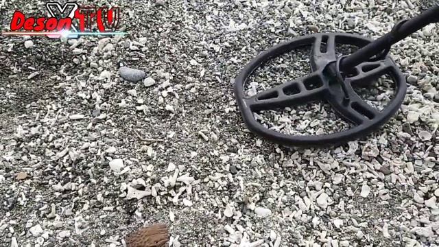 Beach Metal Detecting | Coins & Relics | Garrett Ace 350 & Nokta Makro Simplex | T. Hunting Weekend смотреть онлайн