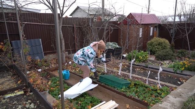 Надёжный способ укрытия земляники смотреть онлайн