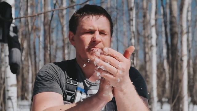 Завал дерева