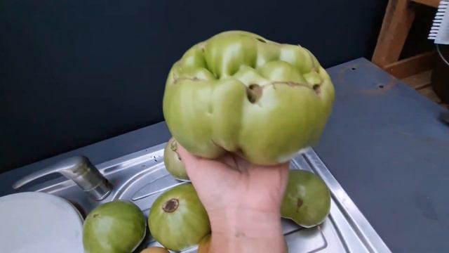 Дачи в Германии 🇩🇪💕 У рожай 🍅🍆🥬🫑помедор. смотреть онлайн