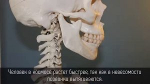 ⭐️ 5 ИСТОРИЧЕСКИХ фактов об ИССЛЕДОВАНИИ КОСМОСА в СССР