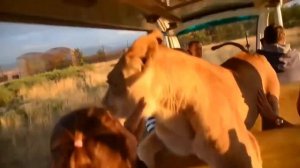 Эксклюзивное сафари для наших