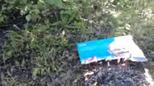 Martin Schulz soll sterben