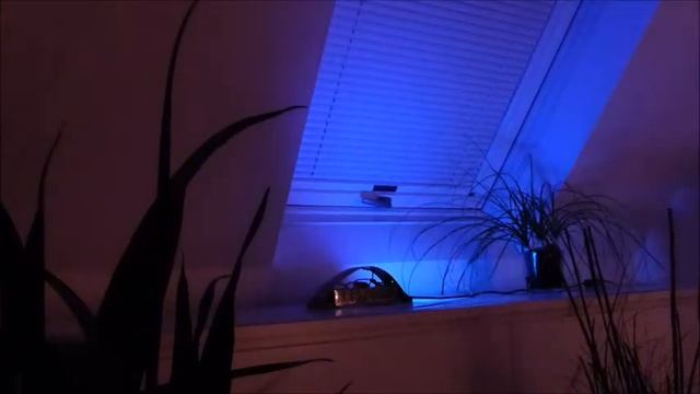 Neopixels Animations on ESP32 MQTT Json Webapp смотреть онлайн