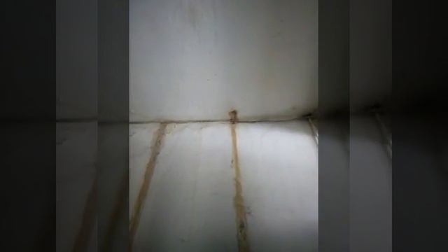 Когда соседка со второго этажа забыла выключить воду в ванной смотреть онлайн